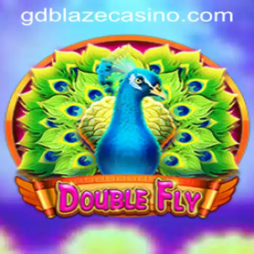 DoubleFly: The Thrilling Adventure in Virtual Skies